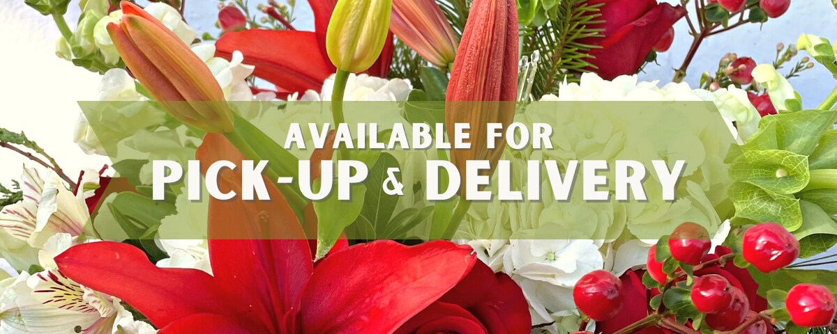 Safe Delivery, Learn More >